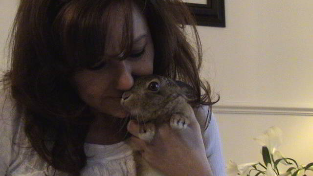 hand rearing a leveret